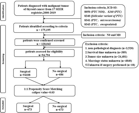 Frontiers Survival Benefit Of Active Surveillance For Papillary