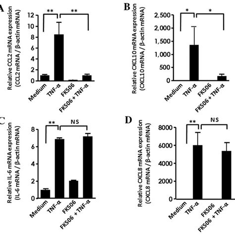 Effects of tacrolimus FK506 on the TNF α induced mRNA expression of