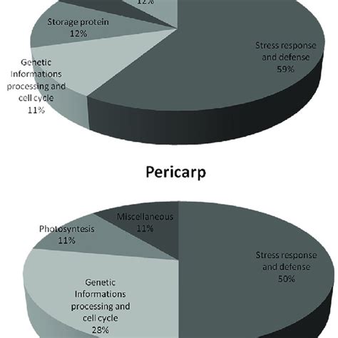 Functional Classification Of Proteins Identified By Ms The