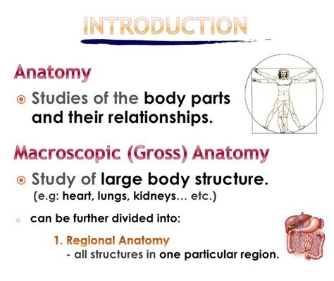 General Introduction To Anatomy Physiology Powerpoint File Free Download