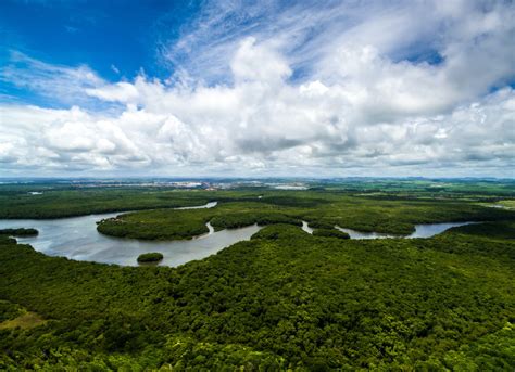 Curiosidades Pouco Conhecidas Sobre O Brasil