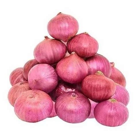 A Grade Maharashtra Natural Fresh Onion Packaging Size Kg Onion