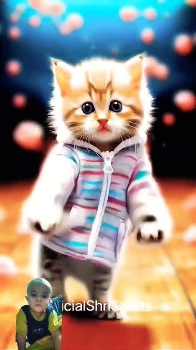 How Cat Dance Cute Cat Funny Dance 🤣🤣 Cat Funny Trending Shorts Youtube