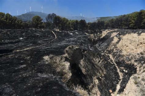 Portugal e Espanha combatem incêndios florestais Flynews pt