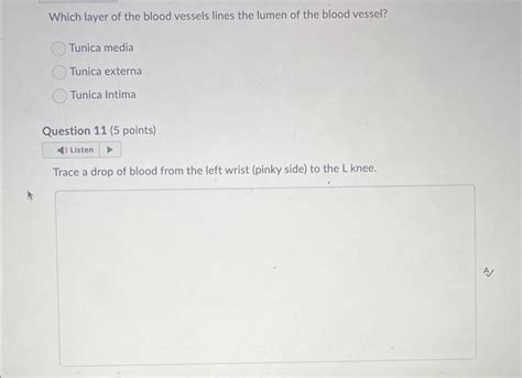 Solved Which layer of the blood vessels lines the lumen of | Chegg.com