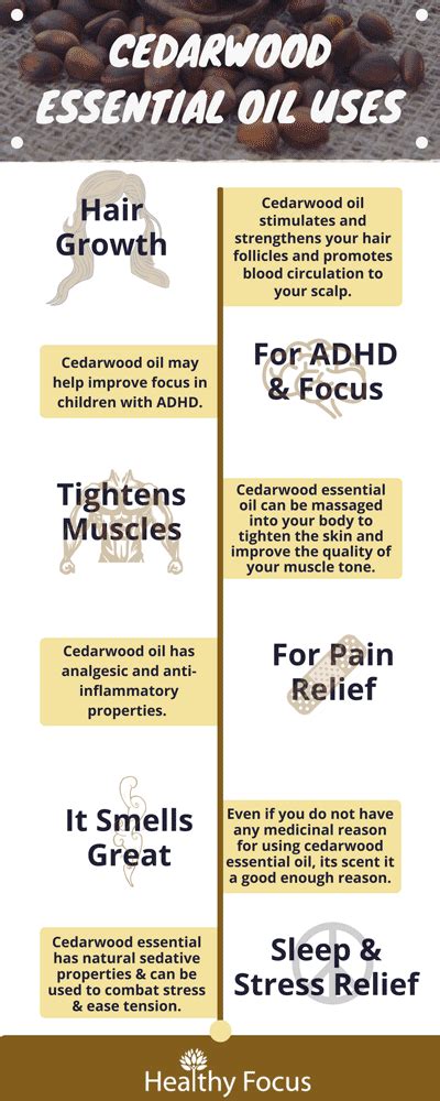 13 Science Backed Cedarwood Essential Oil Uses Healthy Focus