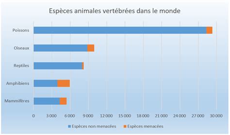 Graphique Barres Usage Mise En Forme Et Mod Les Bdl