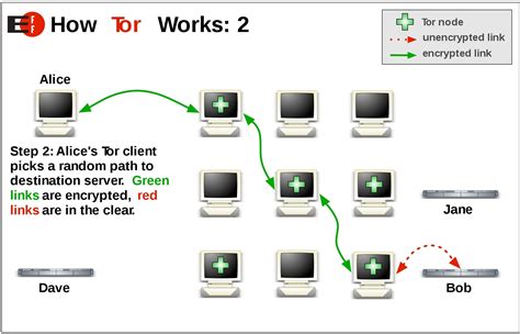 What Is The Tor Browser And How It Can Help Protect Your Identity