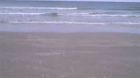 SSBBW Models Sexy Tiny Yellow Poka Dot Bikini While She Plays In The Water M4v BBW Modeling