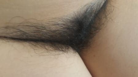 Hairy Pussy Pics Xhamster