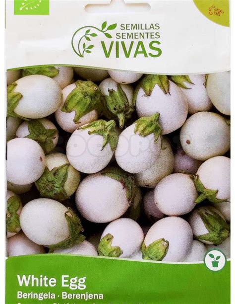 Auyama en España Cómo cultivar y cuidar esta versátil planta en tu