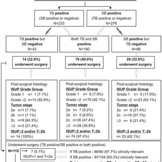 PI RADS III Prostate Cancer A Axial T2 WI Shows TZ Heterogeneous