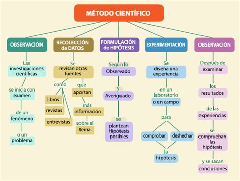 El método científico desde la curiosidad infantil Metodo cientifico