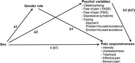 Model Of Associations Between Sex Gender Role Psychological Factors