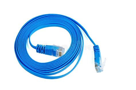 blue ethernet cable stock photo image  connection