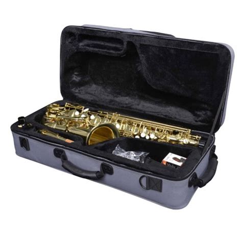 Grassi Gr As20sk Saxophone Eb Alto Sax Kit étudiant