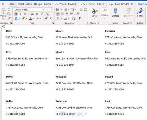 Avery Excel Template