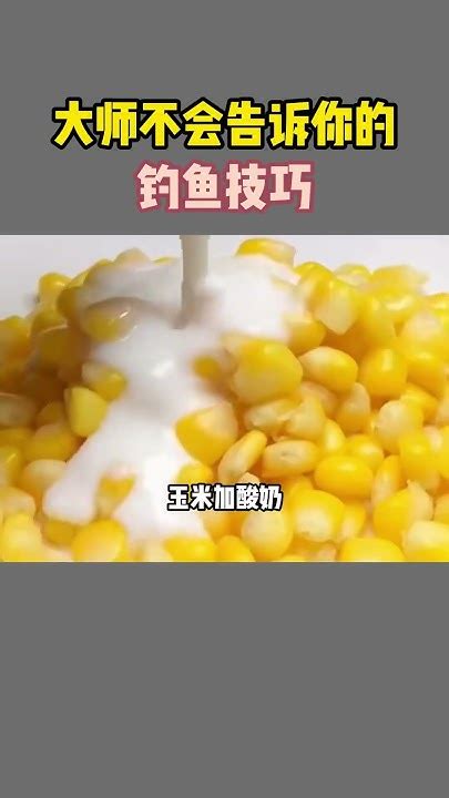 大师不会告诉你的钓鱼技巧！钓鱼技巧 钓鱼人 饵料 爆护饵料 原来钓鱼才是抖音运动顶流 Shorts Youtube