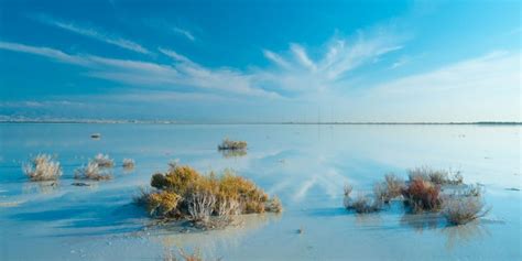 Akrotiri Peninsula SOS: Take action today - BirdLife Cyprus