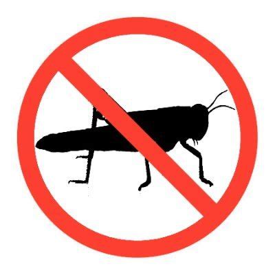 Eetgeeninsecten On Twitter Bij Joden En Moslims Is Het Niet