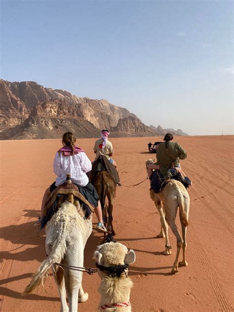 Recent Activities Bedouin Camp Wadi Rum Desert Trekking Guide Camp