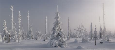 Winter in Bavaria, Germany (2021) :: Behance