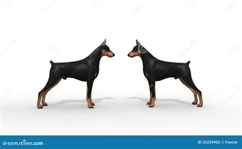 Are Dobermans Protective