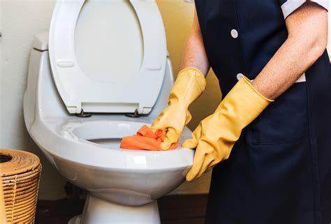 Can You Get An Std From A Toilet Seat A Doctor Sets The Record