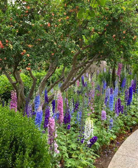 18 Beautiful Botanical Gardens In California You Have To Visit