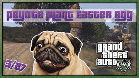 GTA 5 Peyote Plant Easter Egg Location 3/27 'Pug' (NEXT GEN GTA V ...