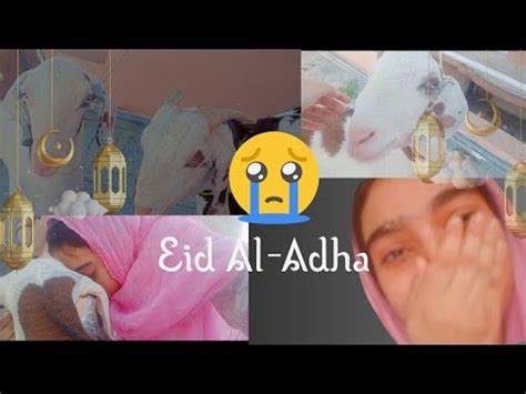 Qurbani Ky Time Sab Emotional Ho Gay Celebrating Eid Ul Azha A Day Of Sacrifice 2024eid