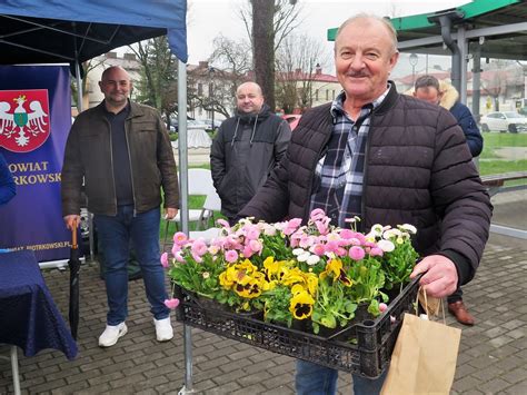 Oddaj Nakr Tki Odbierz Drzewko Lub Nasiona Epiotrkow Pl Piotrk W