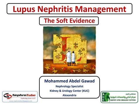 Lupus Nephritis Management The Soft Evidence Dr Gawad Ppt