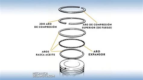 Como identificar los anillos de un pistón funciones y tipos