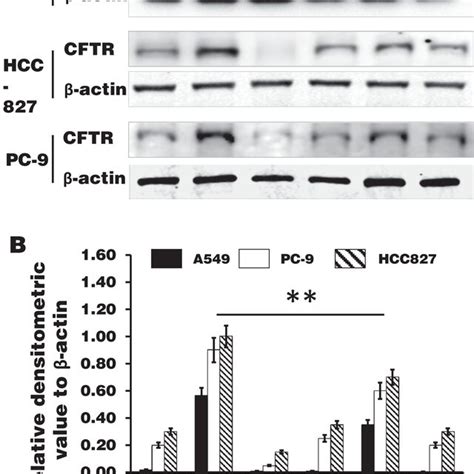 Nicotine Inhibits Cystic Fibrosis Transmembrane Conductance Regulator