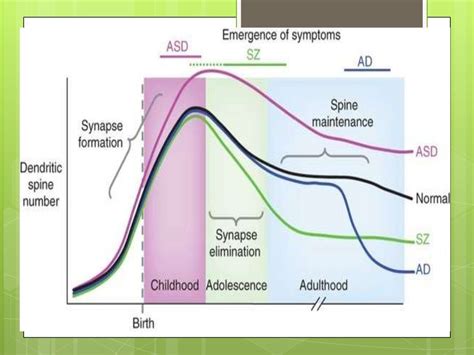 Transdifferentiation