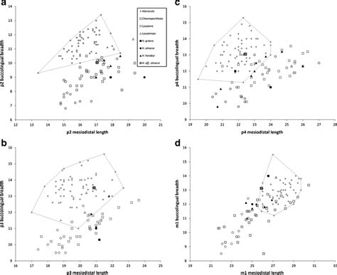 Bivariate Plots Of Buccolingual Breadth Vs Mesiodistal Length In The