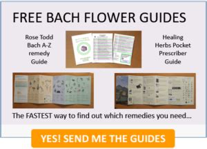 The Bach Flower School - Bach Blog: Depression, Despair and Addiction ...