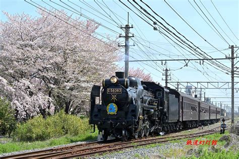 桜満開のslパレオエクスプレス旧型客車特別運行 ブログ「鉄道幻灯館」 楽天ブログ