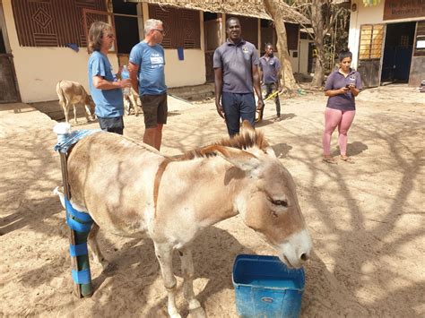 Übergabe unserer Geld und Sachspenden in Gambia Tierstimme e V