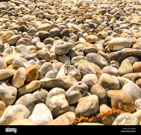 Pebble Stock Photo Alamy