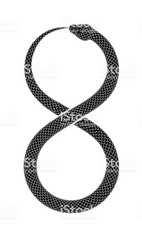 The Snake Eates It S Own Tail In The Form Of A Sign Of Infinity