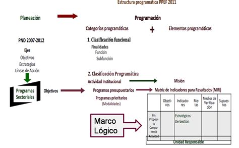 Cápsulas De Competitividad Y Excelencia Estructura Programática