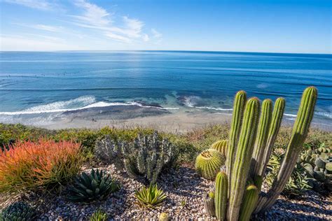 Swamis Meditation Gardens | Fasci Garden
