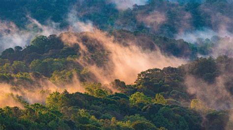 Assessing Pakistans National Biodiversity Strategy And Action Plan