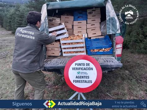 Agentes forestales decomisan 400 kilos de níscalos a un grupo