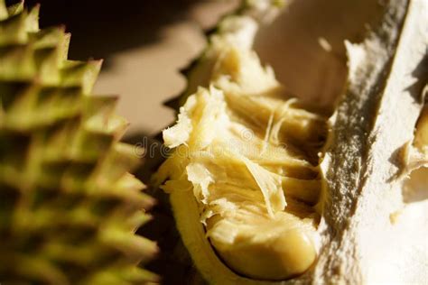 A Ripe Durian Fruit Ready To Be Enjoyed Showcasing Its Creamy Yellow