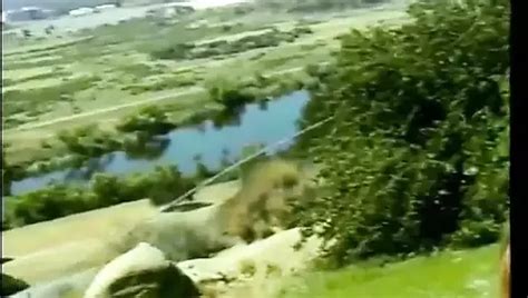 Sexy Latina Teen Stopft Ihre Enge Rasierte Muschi Mit Einem Gro En Verdammten Schwanz Xhamster