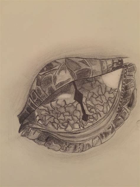 This is my drawing of a realistic dragon eye. First realistic drawing!