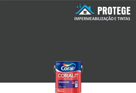 Tinta esmalte Coral Coralit Secagem Rápida 3 6 Litros várias cores